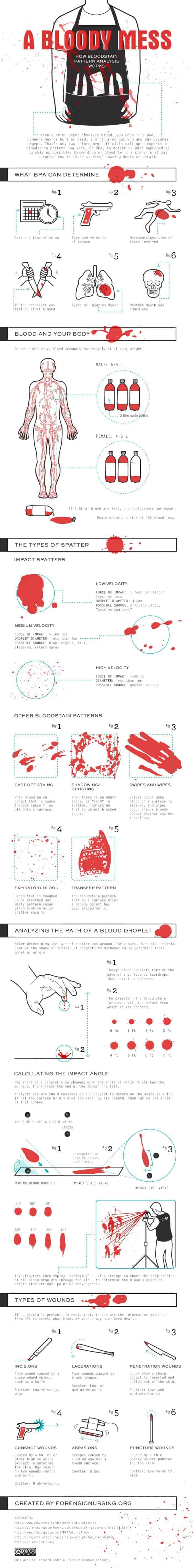 Bloody Mess Infographic