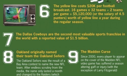 NFL Fun Facts Infographic