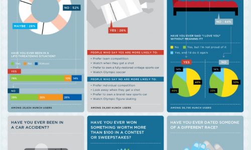 Have You Ever Infographic