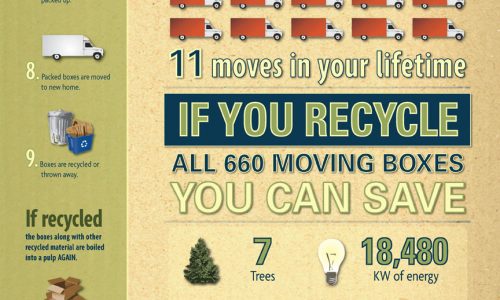 Save Trees Recycle Your Moving Boxes Infographic