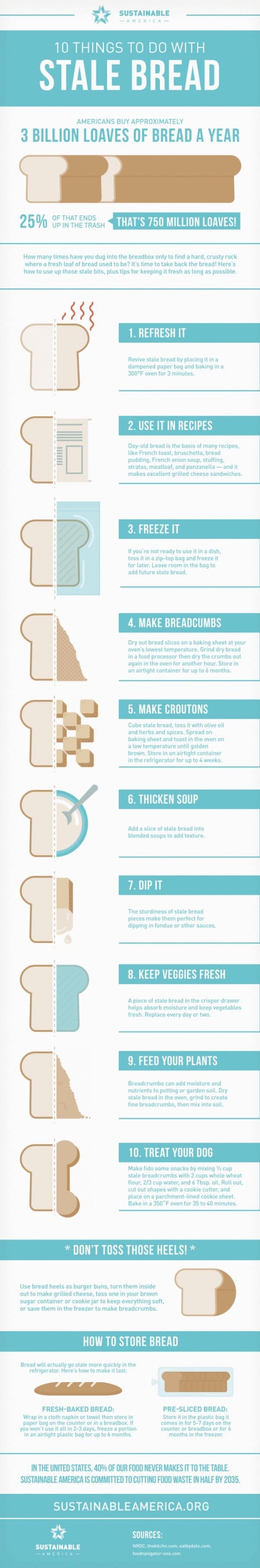 10 Things To Do With Stale Bread Infographic