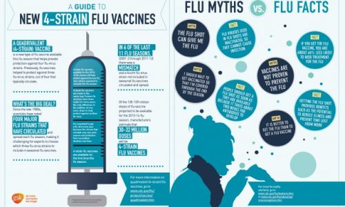 Flu Guide Infographic