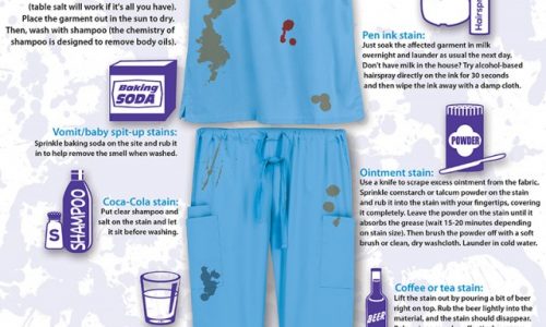 House Stain Remover Guide Infographic