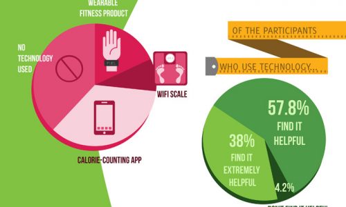 Who’s Sticking to Their Diet Infographic