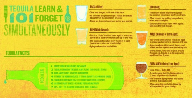 Tequila 101 Infographic