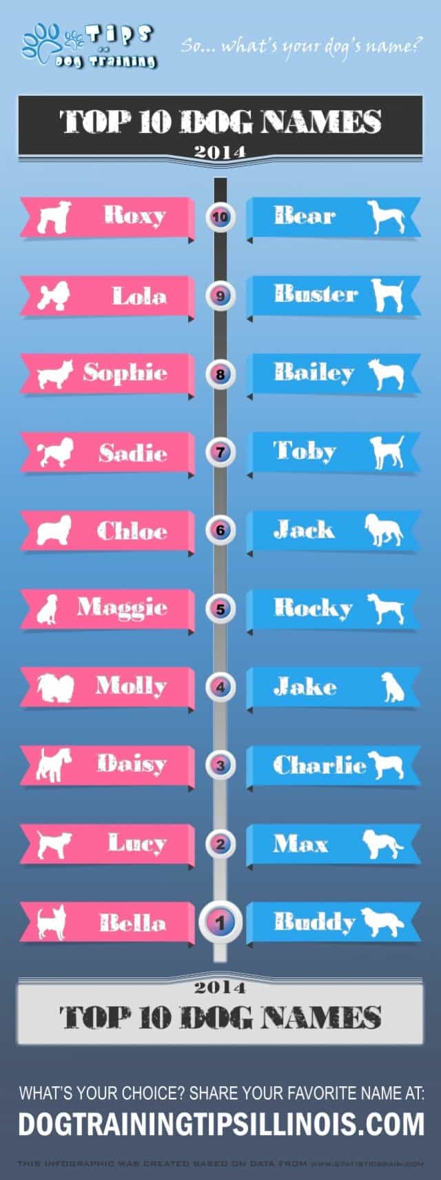 Top 10 Female and Male Dog Names of 2014 Daily Infographic