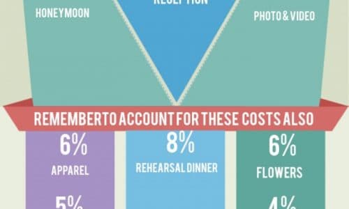 Wedding Budgeting 101 Infographic