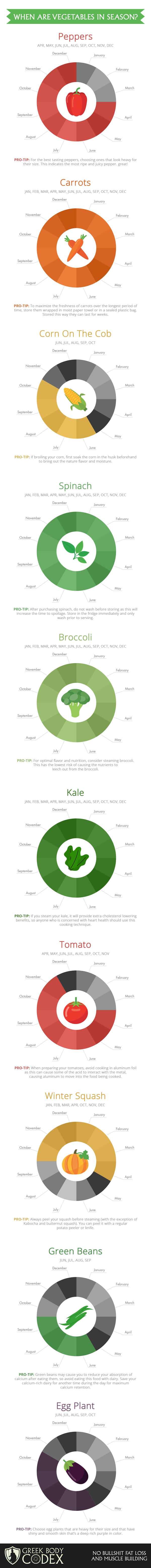 Vegetables Season Infographic