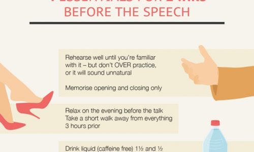 Cheat Sheet For Public Speaking Expert Infographic