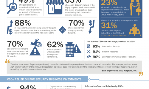 Evolving Role Of CSO Infographic