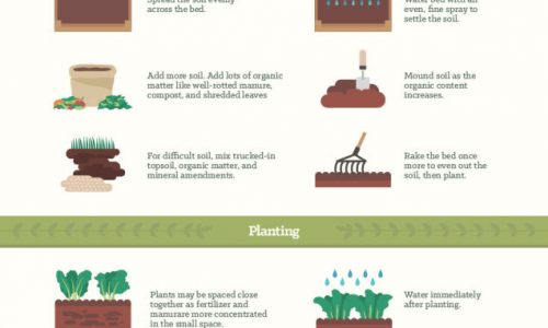 Simple Vegetable Garden Tips Infographic