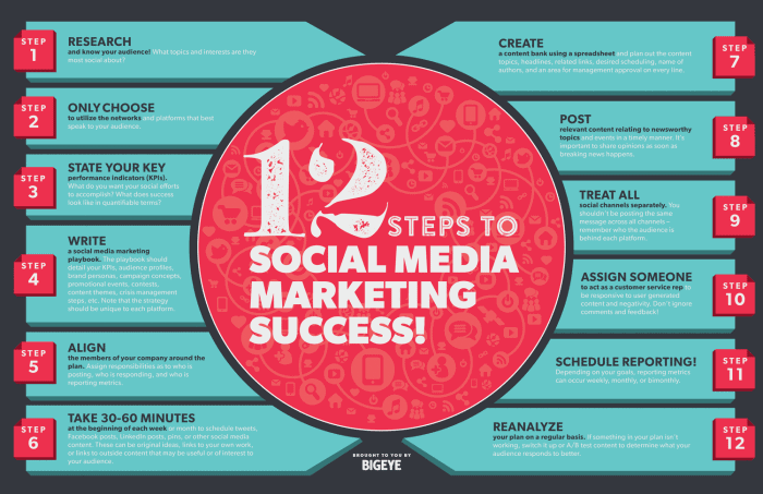 12 Steps to Social Media Marketing Success Infographic