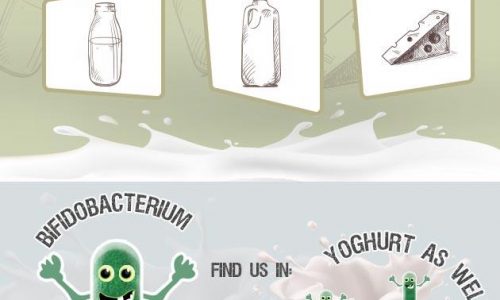 Guide To Good Bacteria Infographic