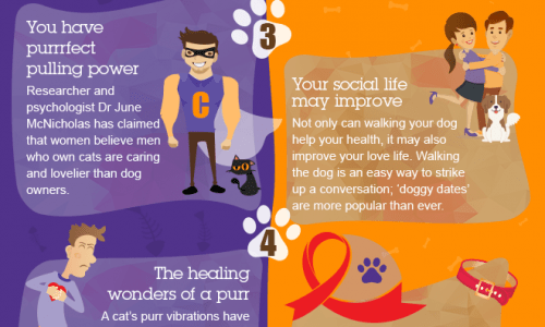 Cats vs dogs infographic
