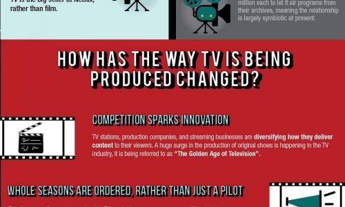 The Netflix Effect Infographic