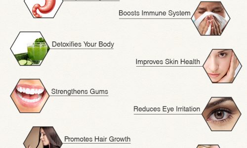 Benefits Of Aloe Vera Infographic
