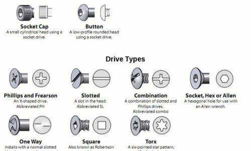 Types of Screws and Bolts Guide Infographic