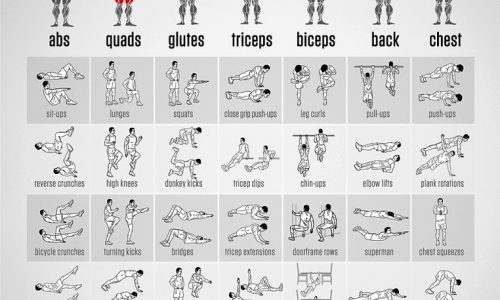 Bodyweight Exercises Chart Infographic