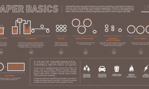 Paper Basics Infographic