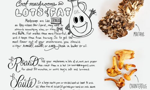 Rules of cooking wild mushrooms infographic