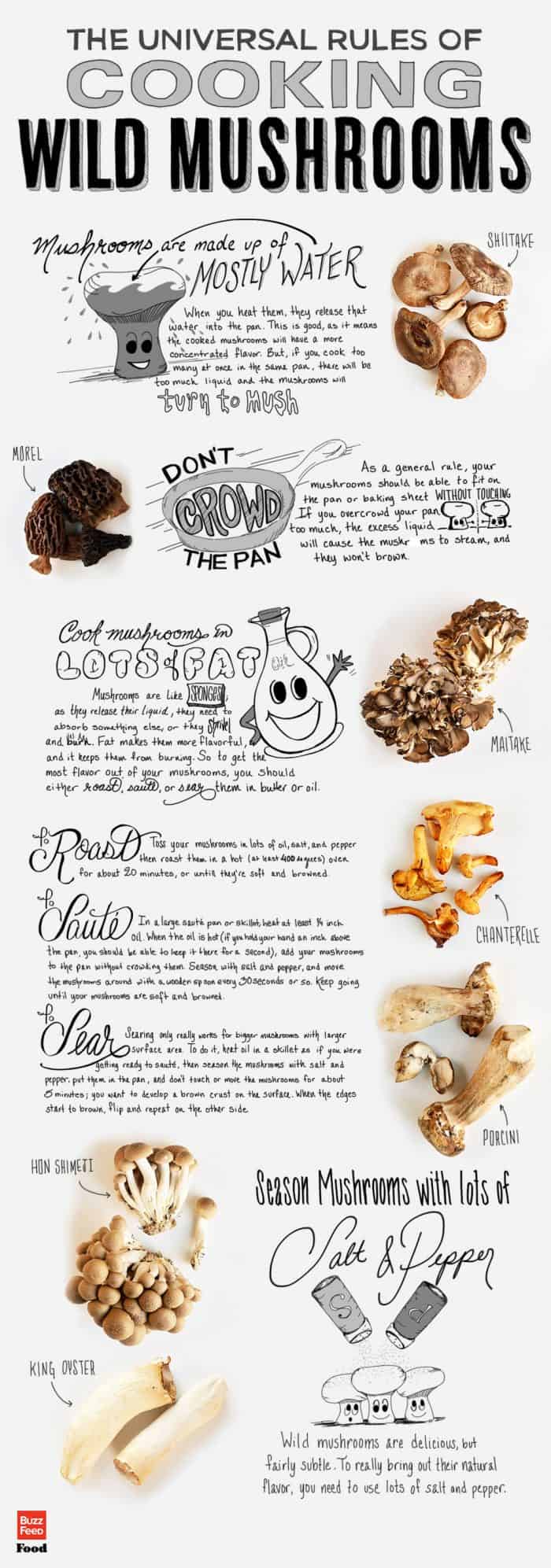 Rules of cooking wild mushrooms infographic