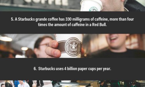 11 Facts About Starbucks Infographic