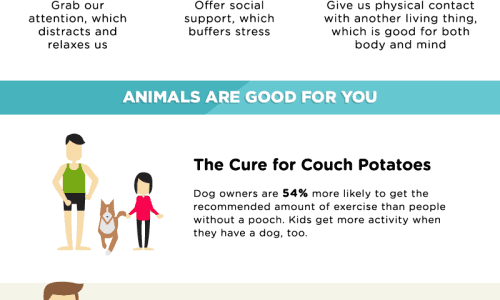 Why Pets Make Us Happy Infographic