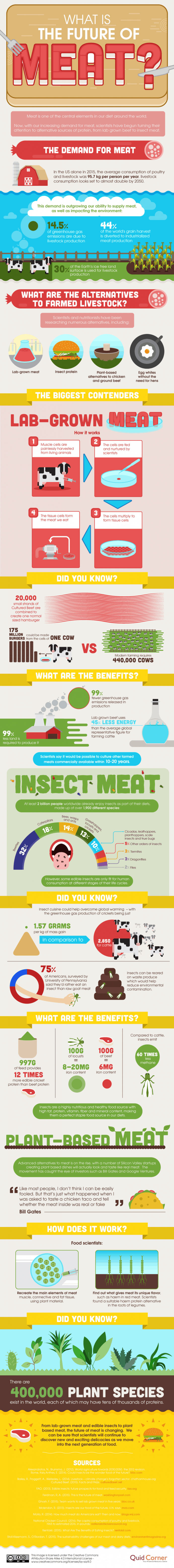 The Future of Meat Infographic