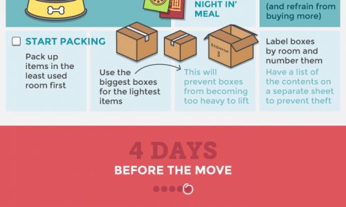 Your Guide to Stress-free Moving Infographic
