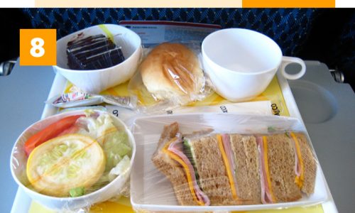 A Global Guide to Airplane Food Infographic
