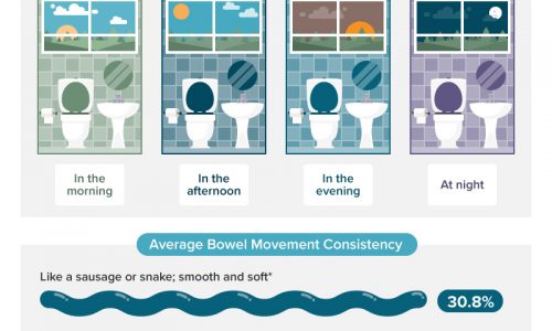 Average American Bowel Habits Infographic