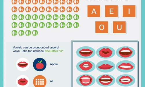 English Language Learning In The US Infographic