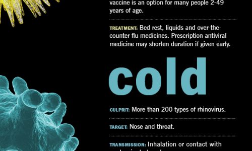 Do You Have A Cold Or The Flu