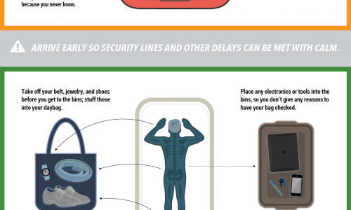 tips on How To Fly Like A Pro infographic