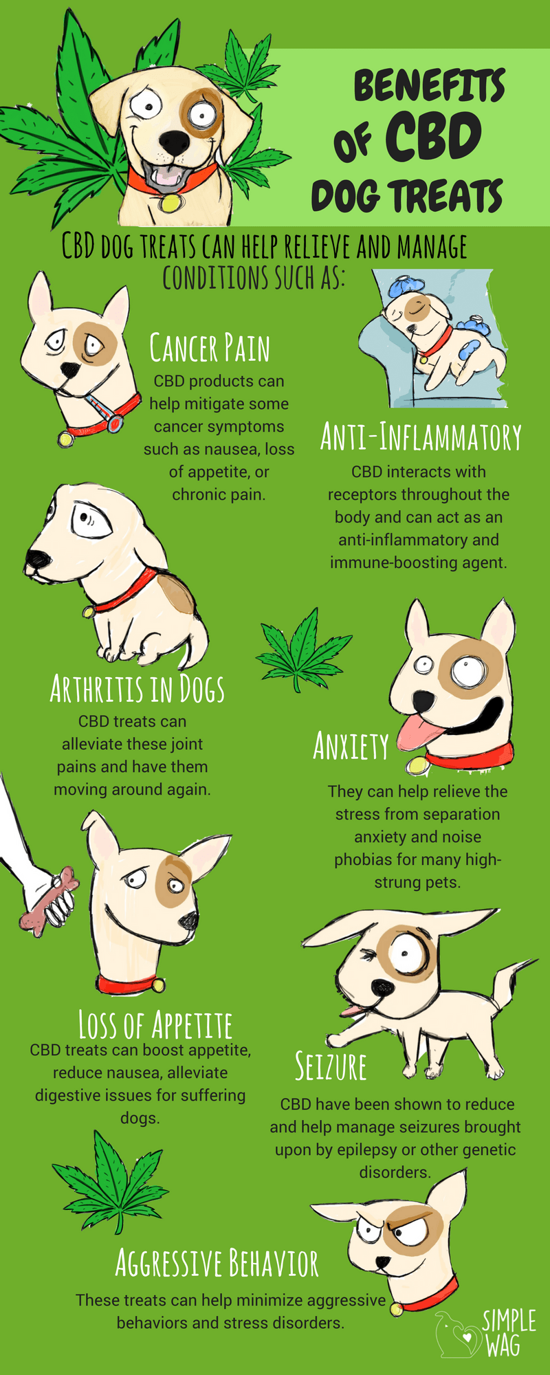 Benefits of CBD Dog Treats - Daily Infographic