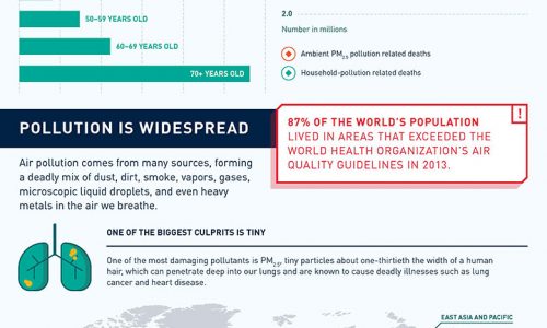 Infographic showing how air pollution affects our health and our economy.
