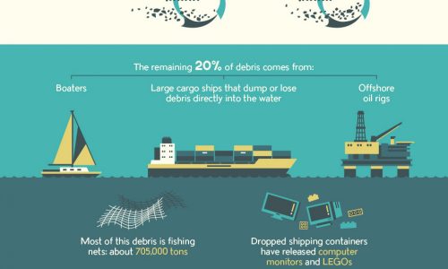 Plastic Is Slowly Ruining Our Oceans––Here's How