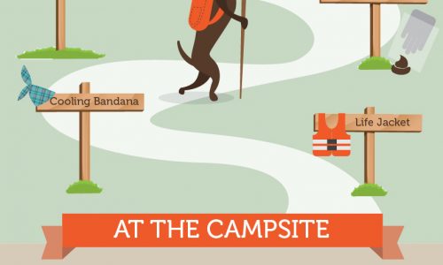 dog camping checklist