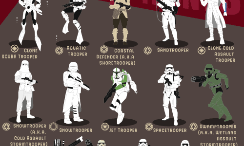 Infogrpahic about all different stormtrooper designs and uniforms.