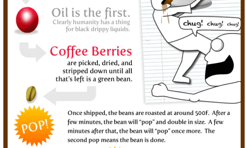 images of 15 facts about coffee