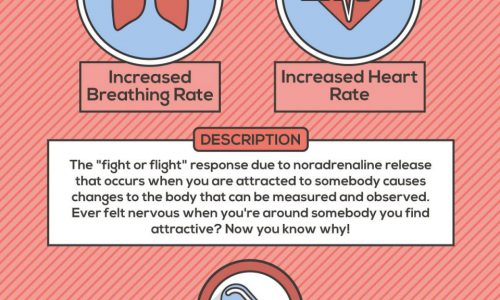 infographic describing the science behind falling in love