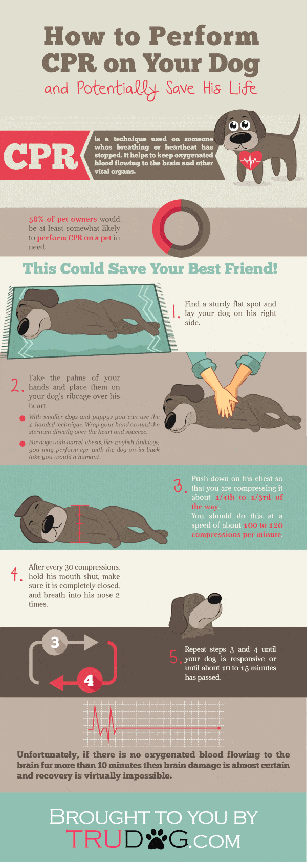 infographic describes how to perform CPR on a dog