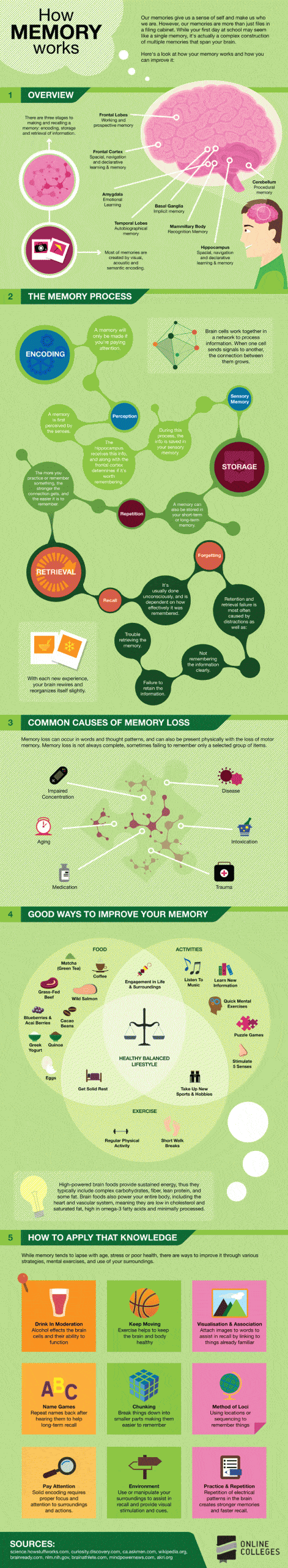 infographic about how memory works