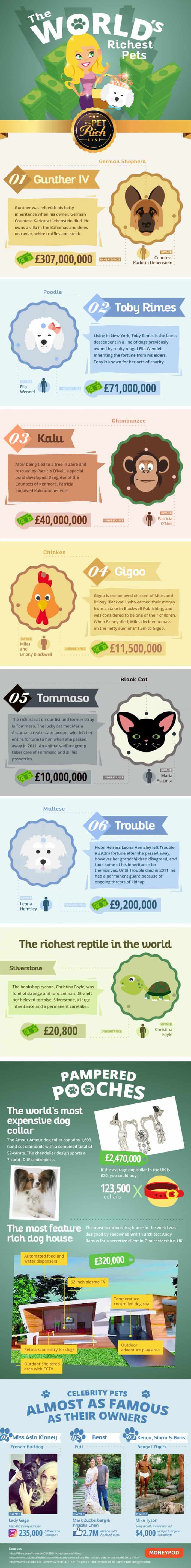 infographic describes some of the world's richest pets, many of whom have hefty inheritances