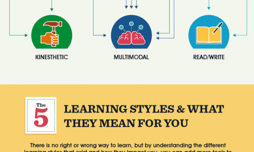 Infographic on Learn Styles