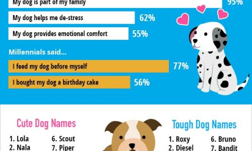 List of most popular dog names