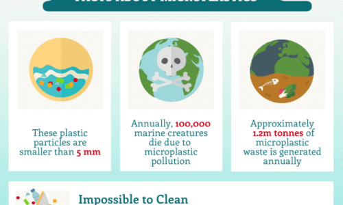 microplastic pollution