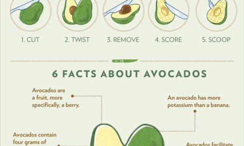 Avocado Fact Chart