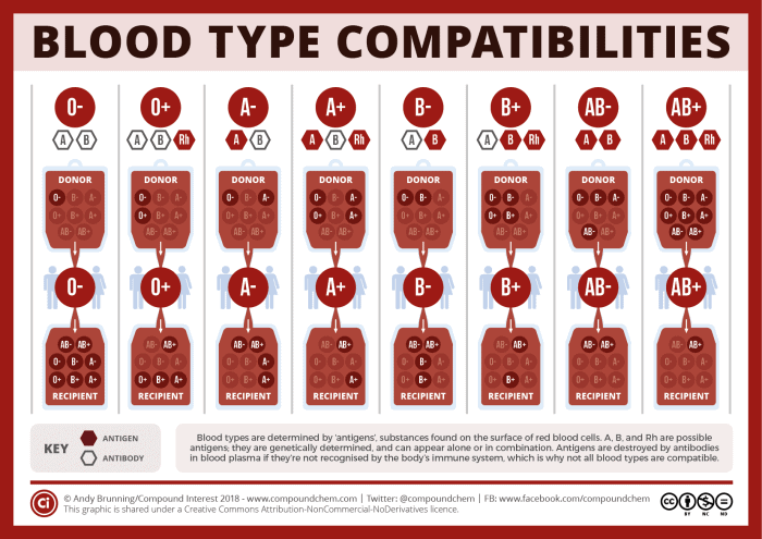 Which blood types can be donors to others