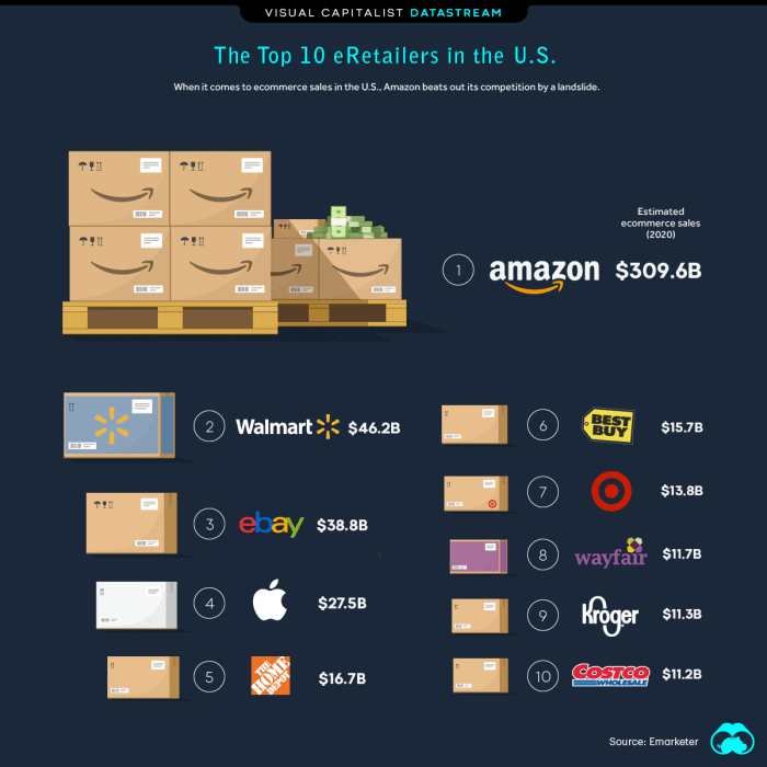 Biggest e-commerce businesses in the US